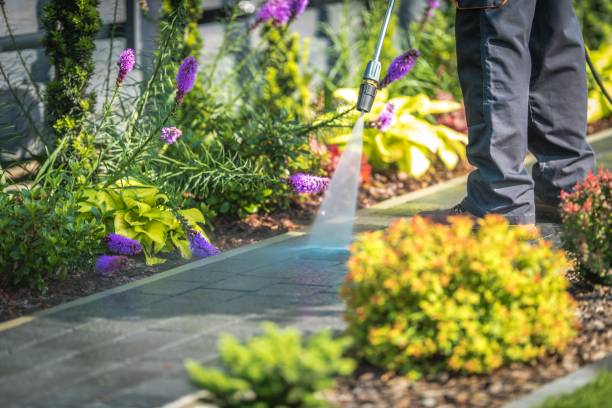 Best Animal Enclosure Cleaning  in Uniondale, NY